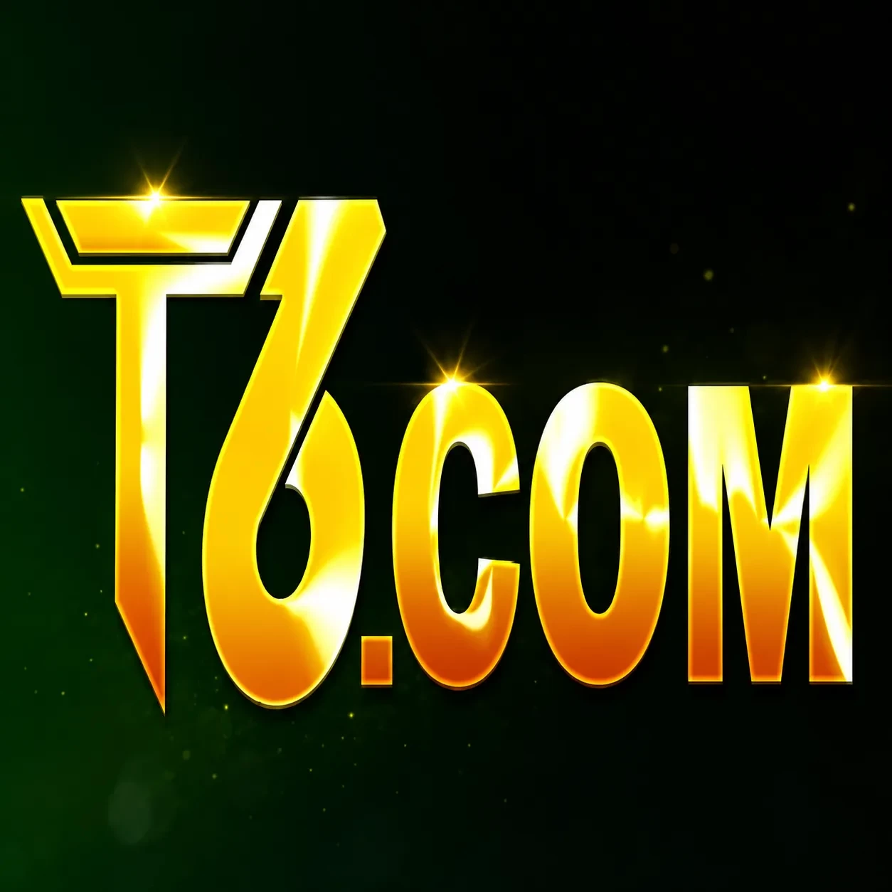 T6